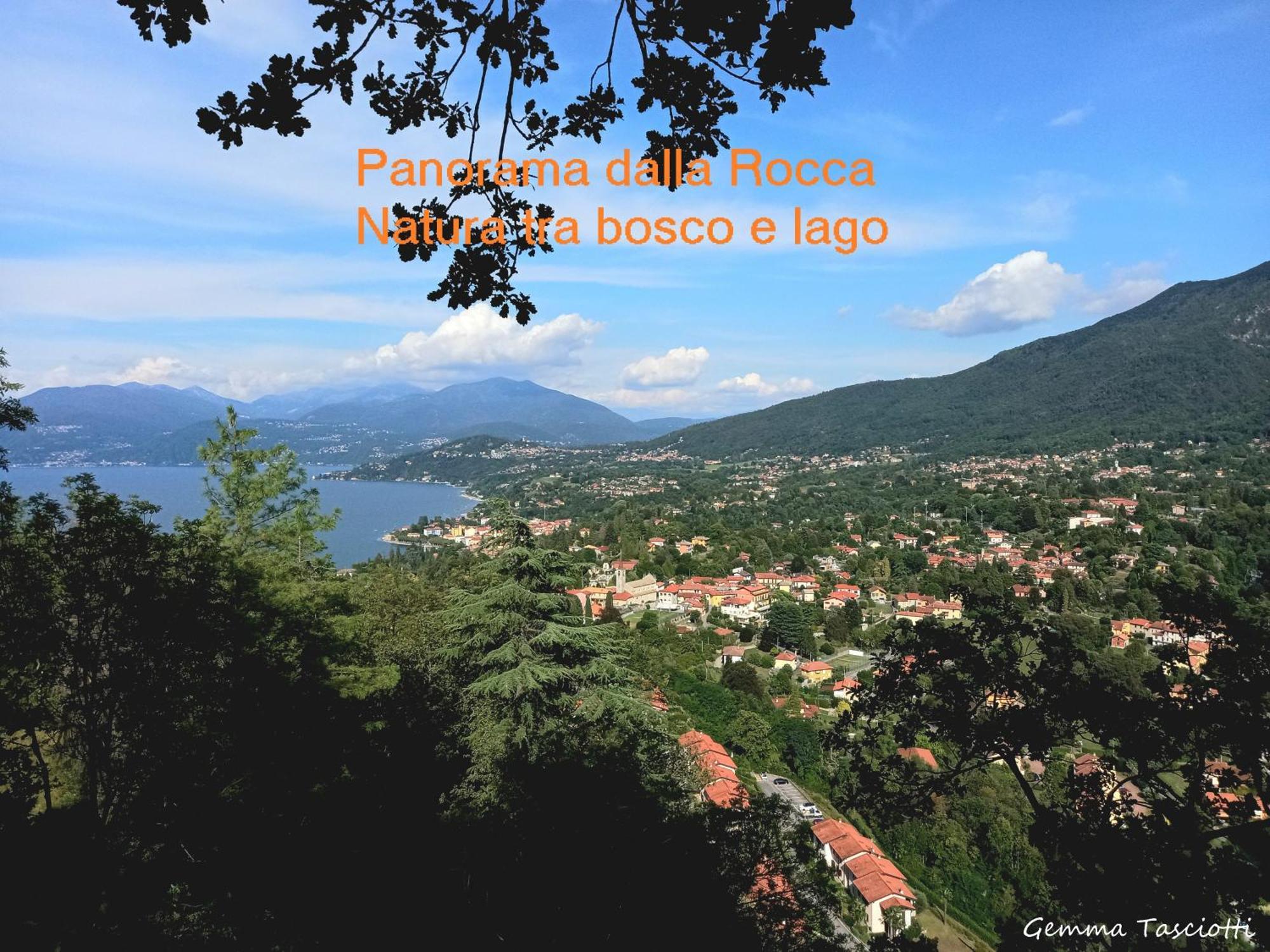 Natura Tra Bosco E Lago Castelveccana Eksteriør bilde